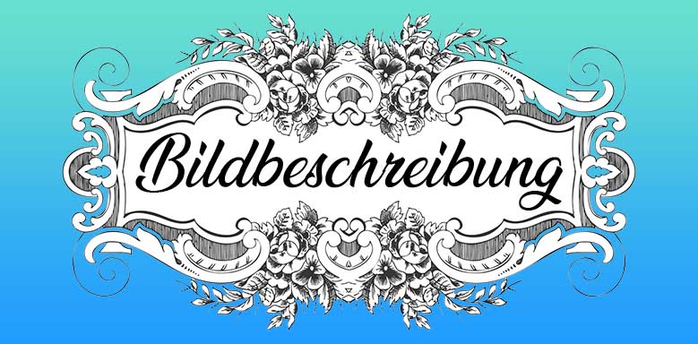 Bildbeschreibung schreiben - Hauptbild