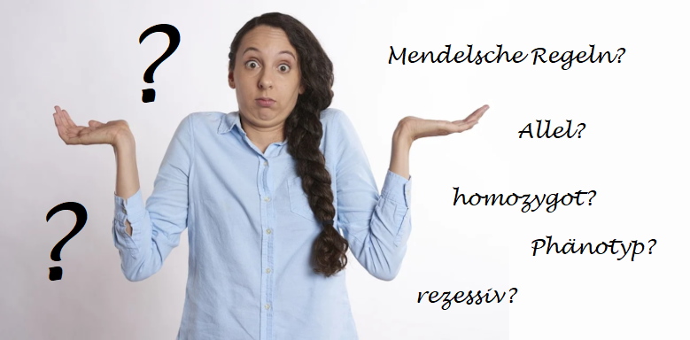 Fachbegriffe Mendelsche Regeln