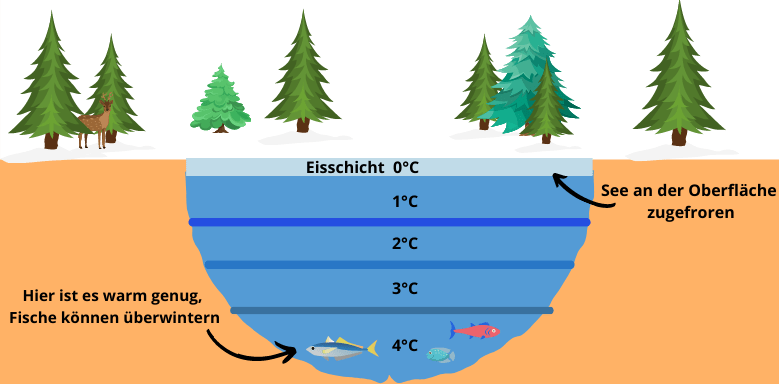 Abiotische Faktoren Wasser