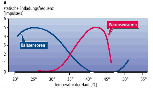 Kälte- und Wärmesensoren dargestellt in einem Grafen