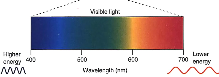 Die Spektralfarben von 400-700nm