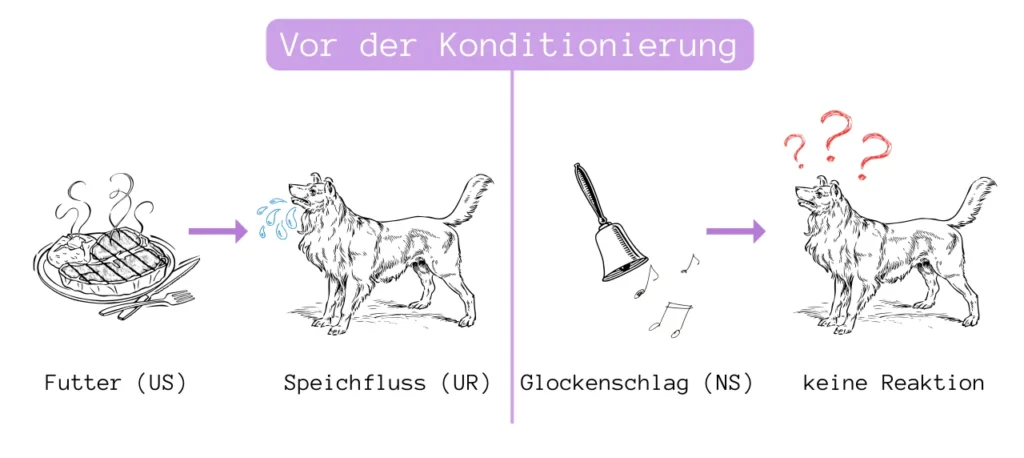 Vor der Konditionierung - Pawlow