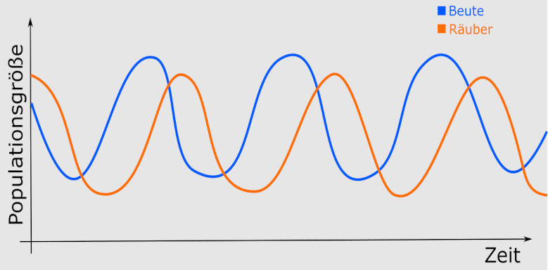 1. Lotka Volterra Regel - Räuberpopulation und Beutepopulation schwanken periodisch und phasenverzögert
