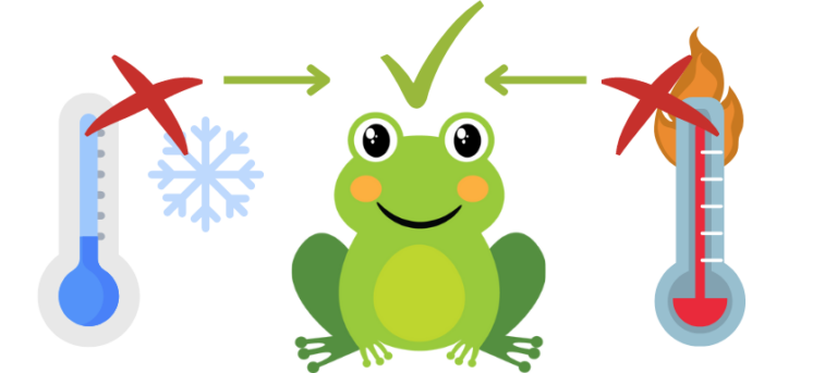 Ökologische Nische eine einfache Erklärung aller wichtiger Merkmale