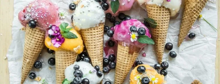 Organon Modell Beispiel Eis