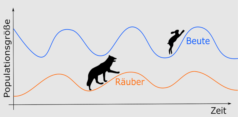 Die Lotka Volterra Regeln zeigen die Abhängigkeit von Räubern und Beute