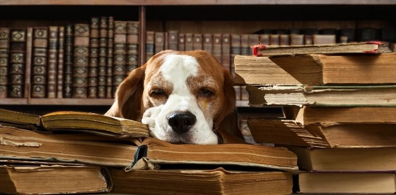 Aufklärung Epoche Literatur