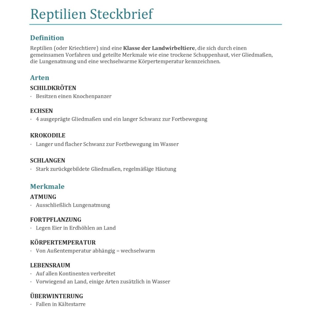 Reptilien Steckbrief