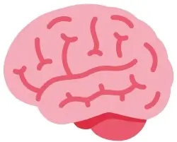 Ein Gehirn, das die neurobiologischen Ursachen von Dyskalkulie darstellt.