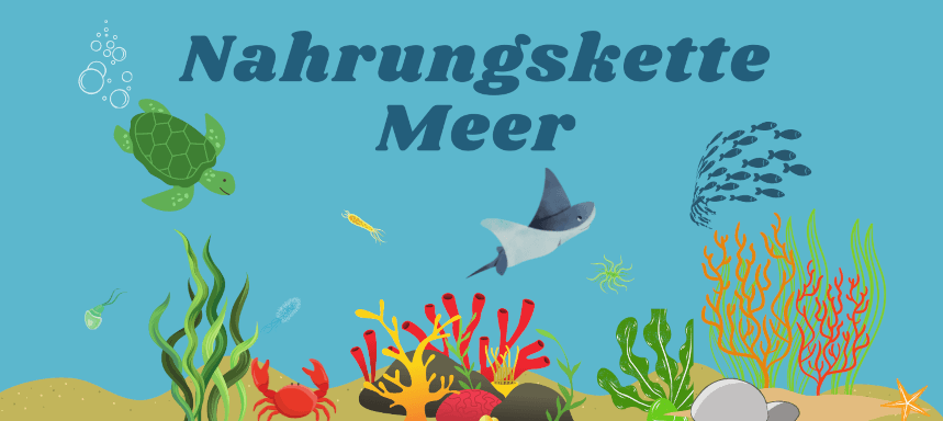 Nahrungskette Meer