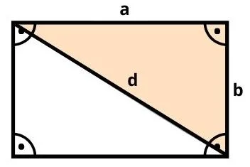 Rechteck mit eingezeichneten Seiten, Winkeln und eingefärbter Fläche
