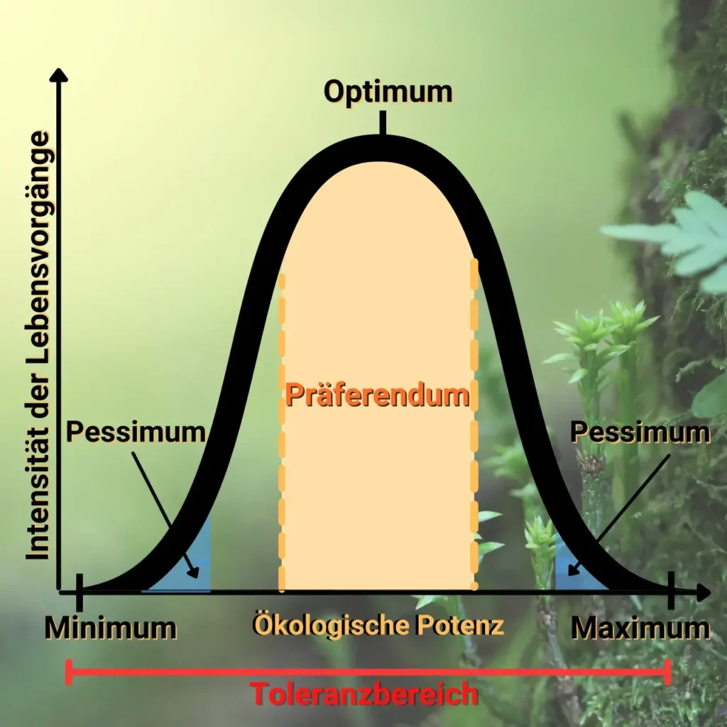 Die Toleranzkurve: Von Minimum über Optimum zu Pessimum