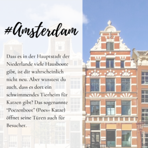 Amsterdam Fun Fact