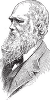 Charles Darwin Evolution