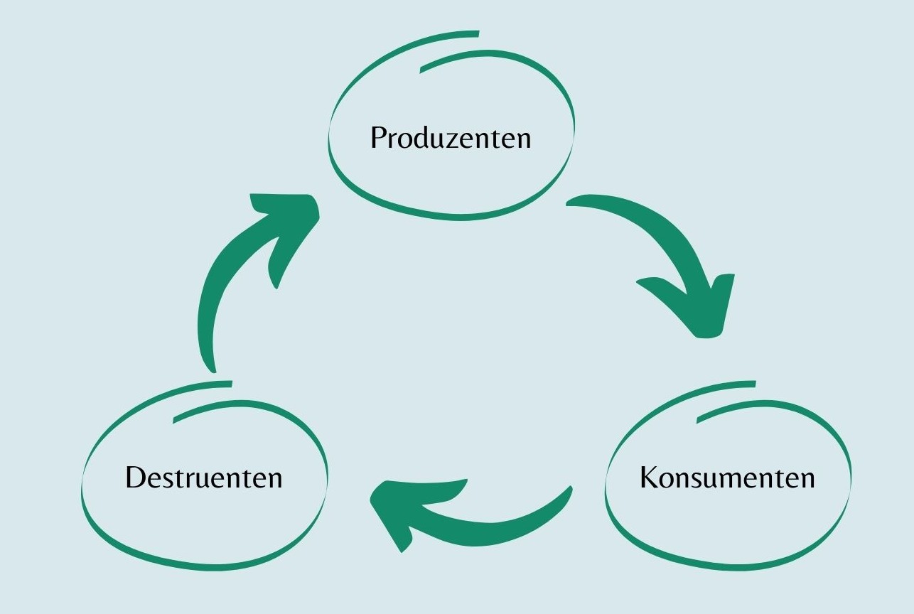 Darstellung Nahrungskreislauf