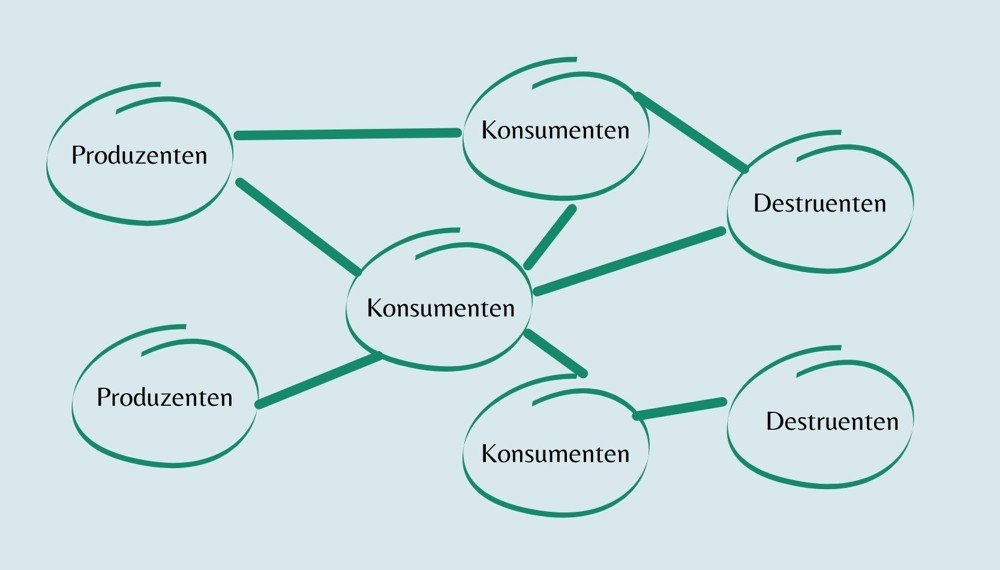 Grafik Nahrungsnetz