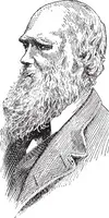 Charles Darwin Portrait