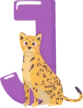 Alphabet lernen J Alphabet lernen J wie Jaguar