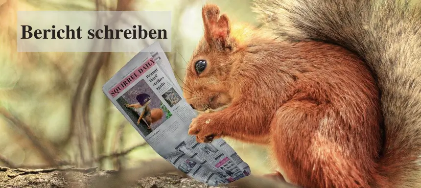 Ein Eichhörnchen liest eine Zeitung als Sinnbild für einen Bericht.