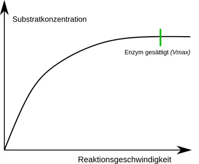 Enzyme Substratkonzentration Reaktionsgeschwindigkeit Je mehr Substrate dem Enzym zur Verfügung stehen, desto höher ist die Reaktionsgeschwindigkeit, bis das Enzym gesättigt ist