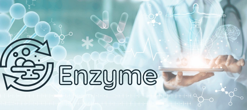 Enzyme
