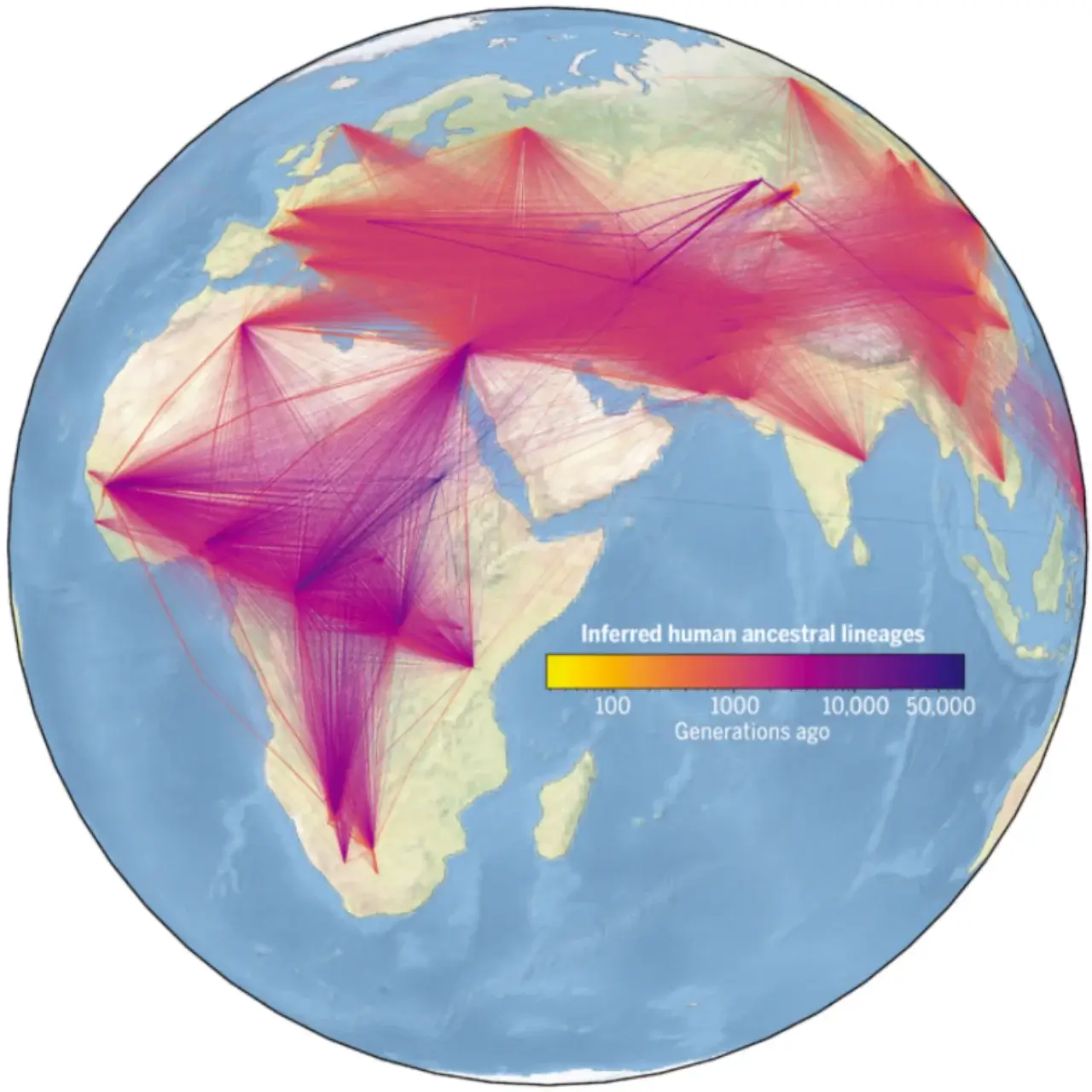 Beitragsbild DNA Studie