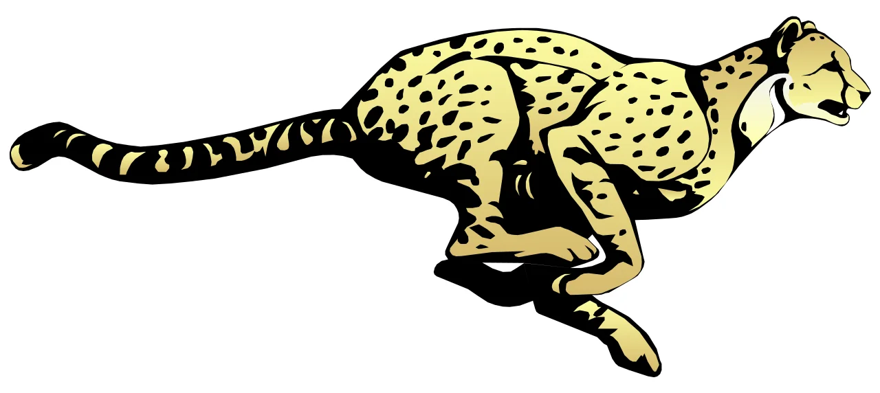 Gepard Abbildung
