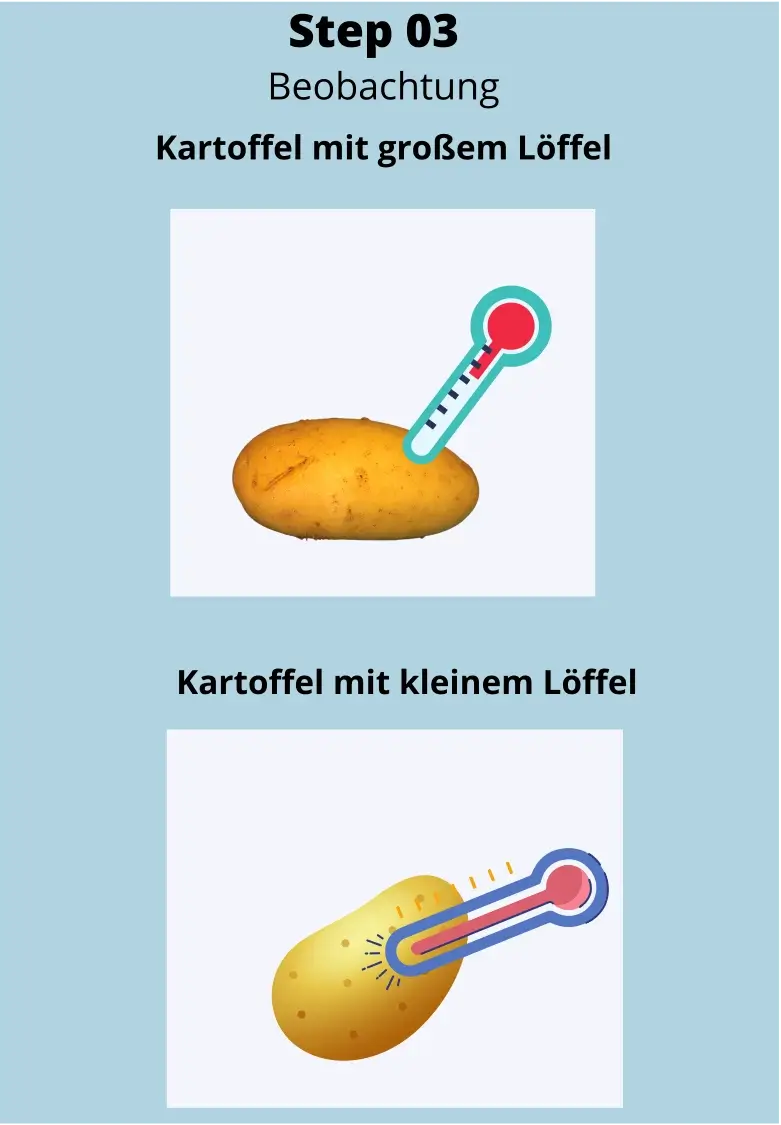 Bergmannsche Regel Experiment