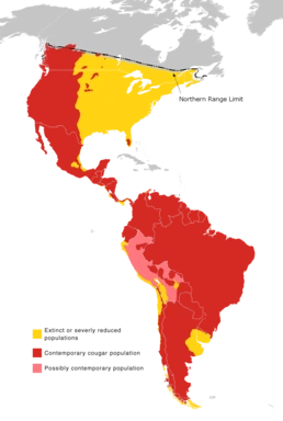 Karte auf der eingezeichnet ist, inwiefern das Aufkommen des Pumas in Amerika ist