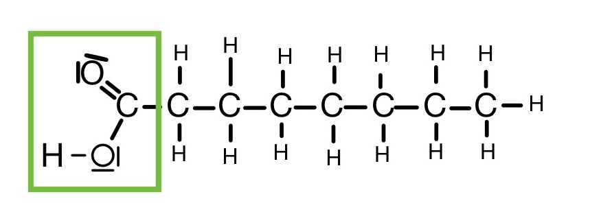 Monocarbonsäuren