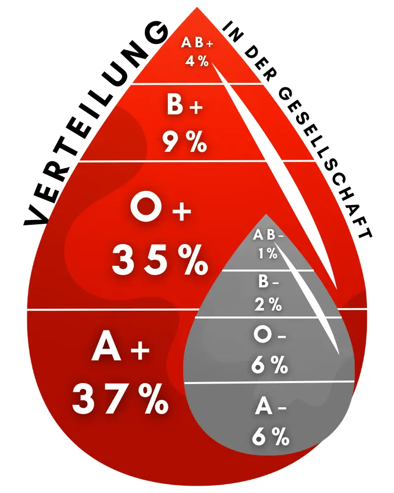 Verteilung-Blutgruppen Verteilung Blutgruppen