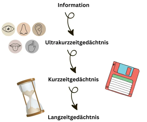 Kurzzeitgedächtnis Mehrspeichermodell