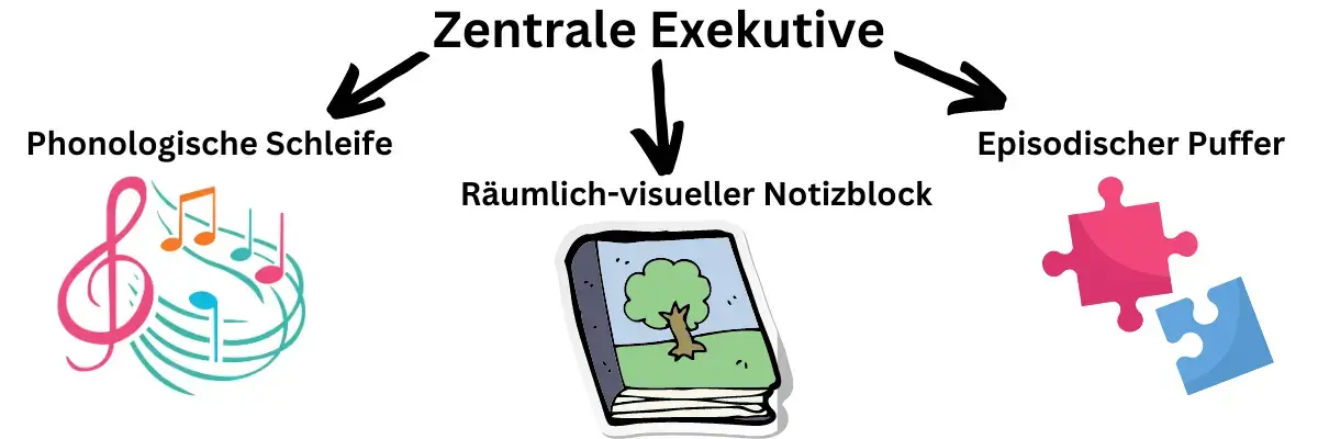 Kurzzeitgedächtnis Zentrale Exekutive