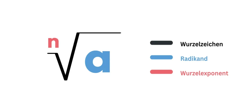 Aufbau einer mathematischen Wurzel