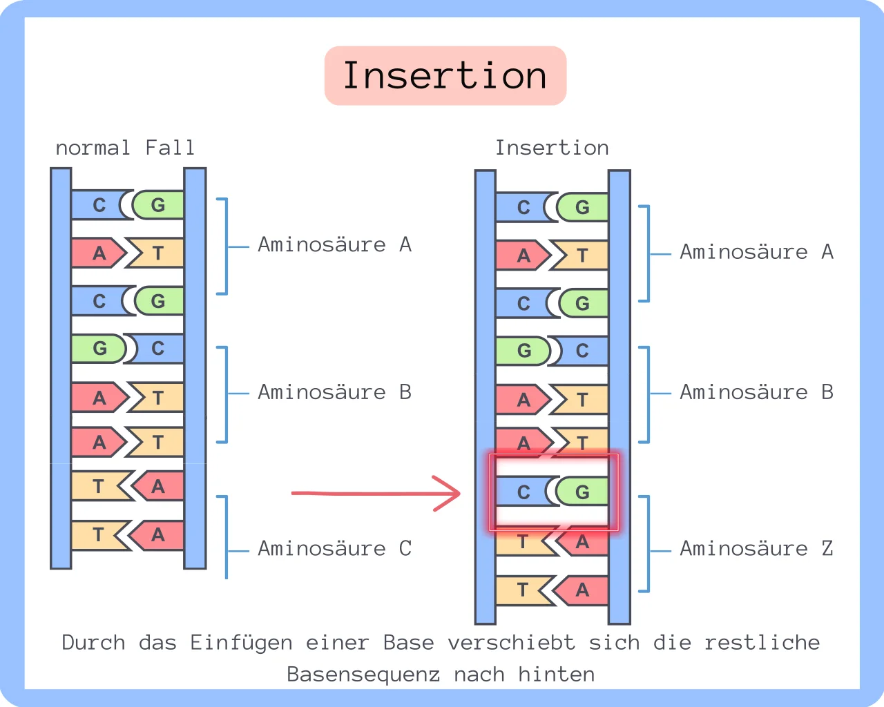 Beispielbild Insertion