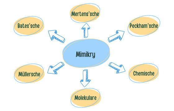 Mimikry Varianten