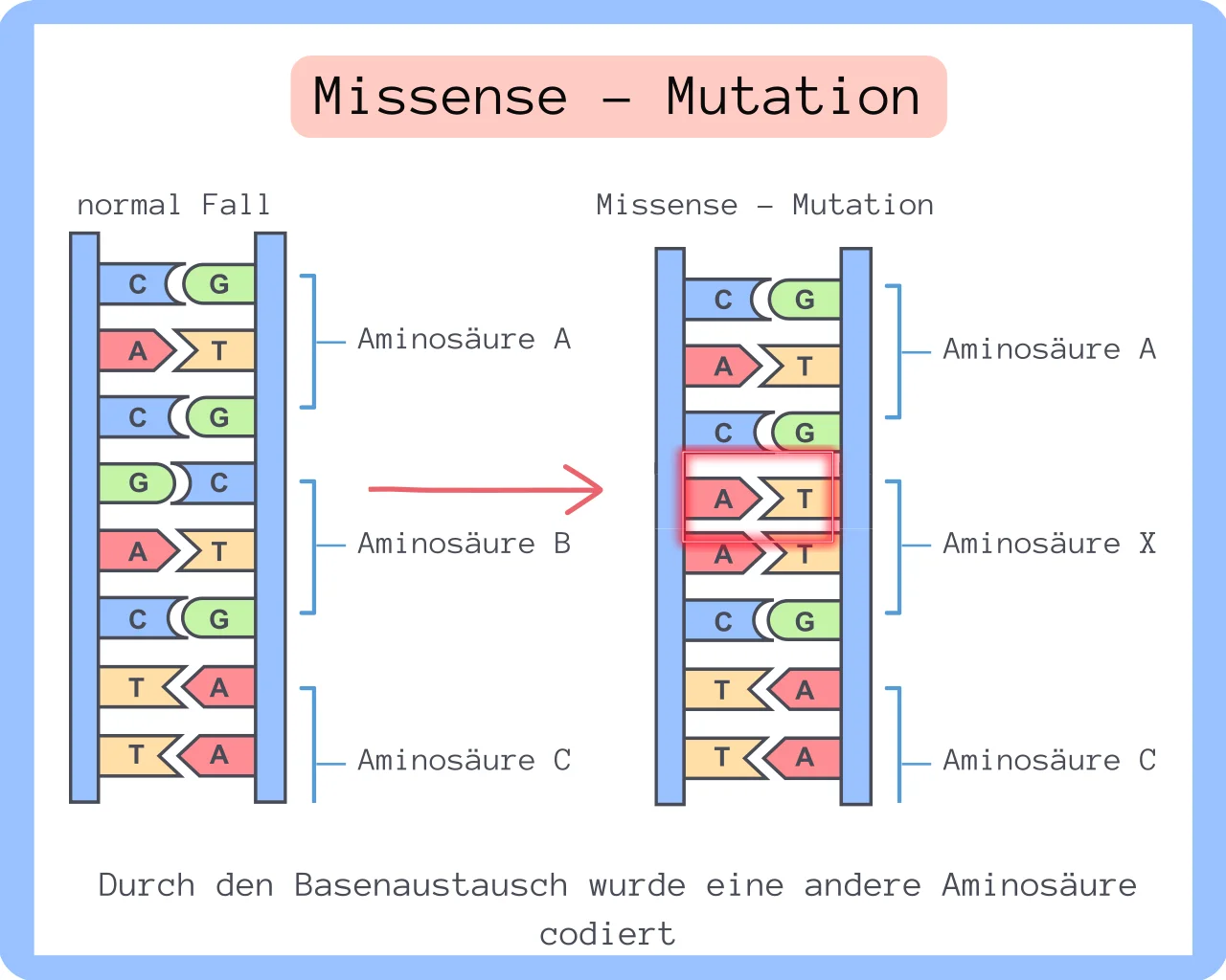 Beispielbild Missense Mutation