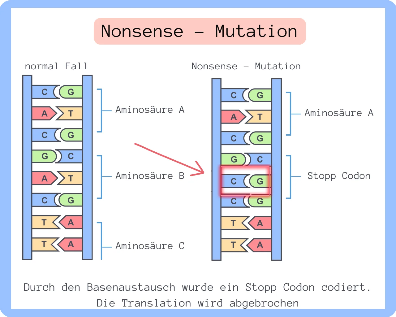 Beispielbild Nonsense Mutattion