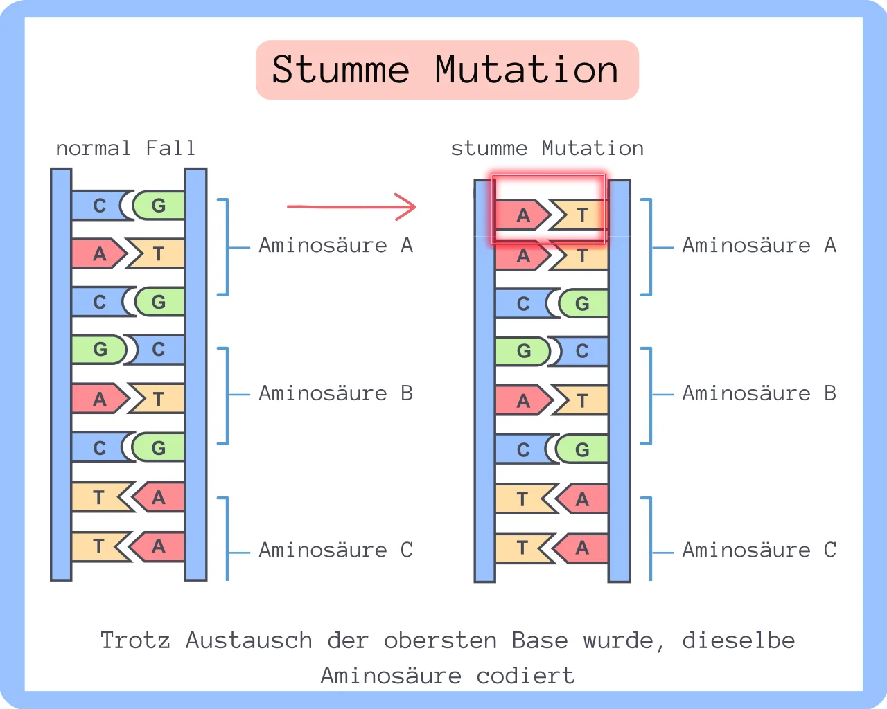 Beispielbild Stumme Mutation