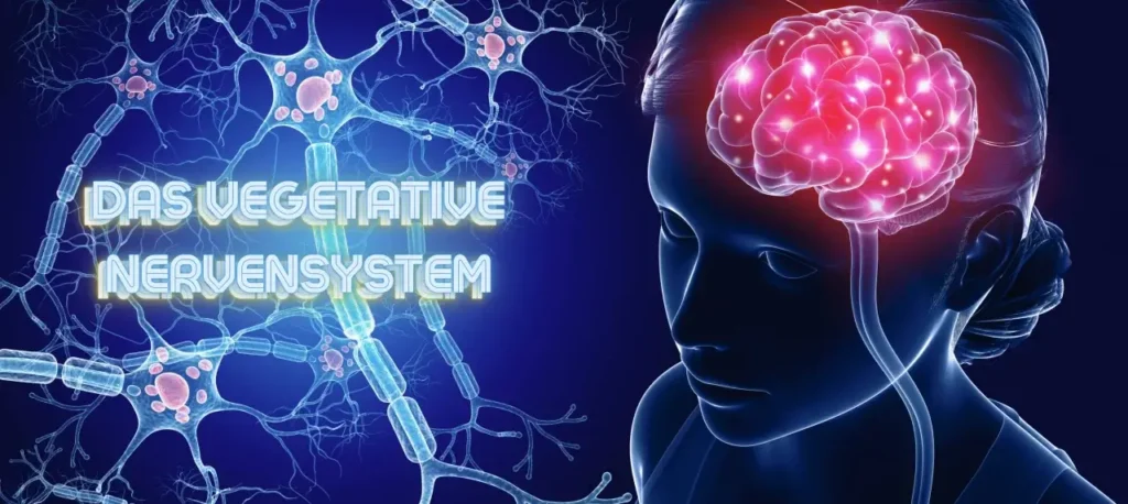 Vegetative Nervensystem Titelbild