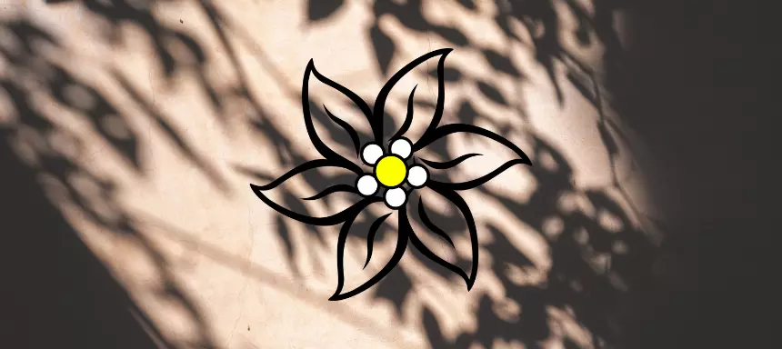 Schattenseiten Edelweißpiraten