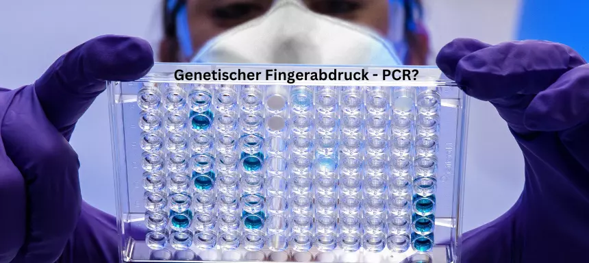 Genetischer Fingerabdruck PCR Probe Forensikerin
