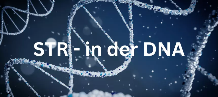 Was ist STR in der DNA? Leitet langsam in das Thema ein