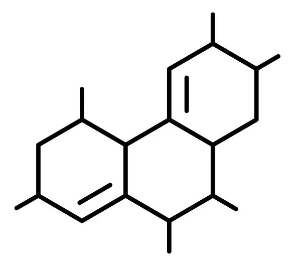 Schematische Darstellung eines Hormonmoleküls des Sympathikus und Parasympathikus