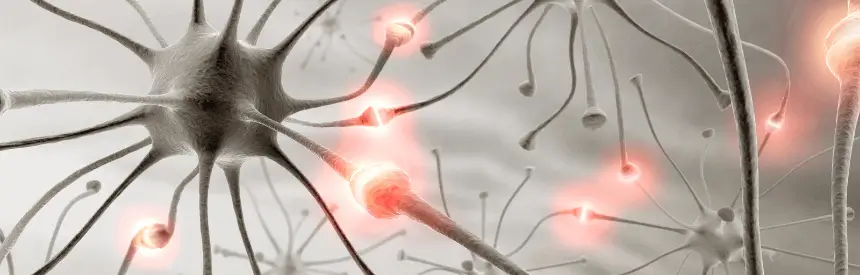 Illustration der Reizweiterleitung zwischen Neuronen durch Aktionspotentiale.
