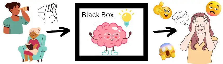 Reize aus der Umgebung gelangen in die Black Box und lösen anschließend eine Reaktion aus.