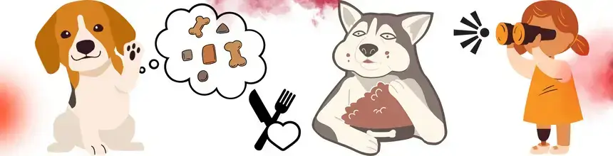 Hund hat Hunger und isst als Reaktion Futter, während er von einer Person beobachtet wird.