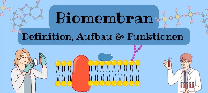 Titelbild über Biomembran
