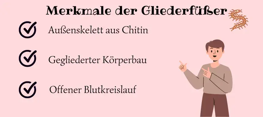 Liste der Merkmale von Gliederfüßern