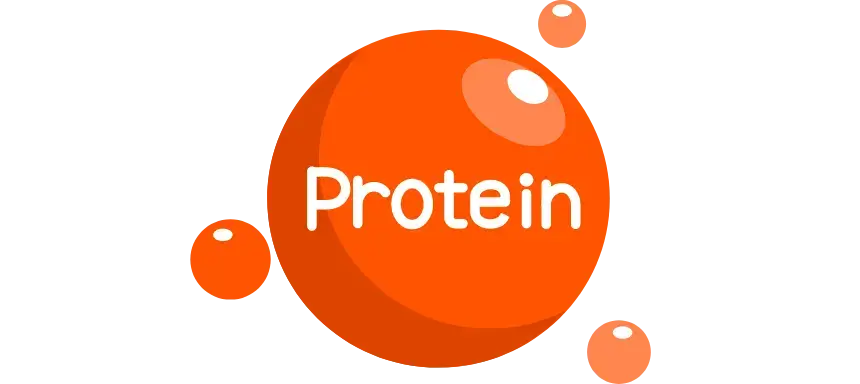 Symbol "Protein"
